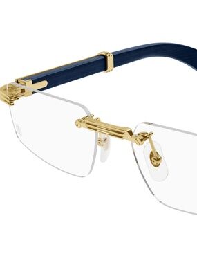 Cartier CT04850 Glasses